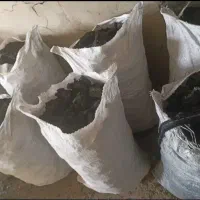زغال درشت به شرط