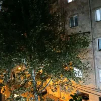 ۶۵ متر تک خواب حیدری شمالی