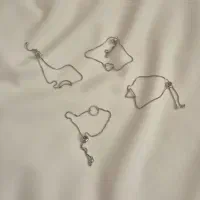 اکسسوری