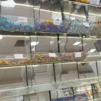 جا آجیلی و شکلاتی تمام شیشه و آینه