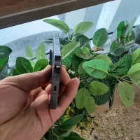 ۱۴ پرو با ریجستری|موبایل|تهران, گلستان (شهرک راه آهن)|دیوار