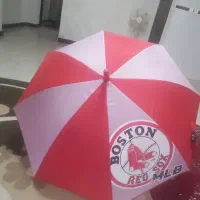 چتر بزرگسال