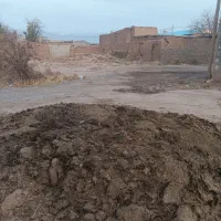 کود بوقلمون