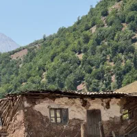 چوپان جهت کارهای  گوسفندان
