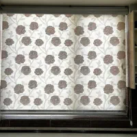 پرده دو‌مکانیزم سالم