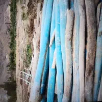 سلام چوب خشک شما را به به قیمت بالا خریدارم|خدمات باغبانی و درختکاری|اهر, |دیوار