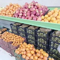 کارگر ساده در میوه فروشی