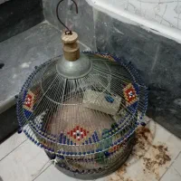 قفس مختلف|لوازم جانبی حیوانات|پاکدشت, پاکدشت (مامازند)|دیوار