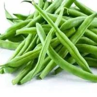 لوبیاتازه