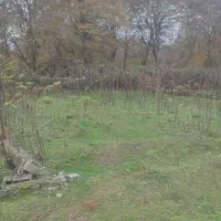 زمین جنگلی با سند قابل ساخت منطقه نور