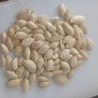 تخم کدو پشت ناخونی خوی