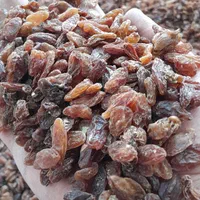 کشمش آفتابی تمیز و شیرین