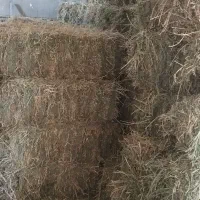 پرس یونجه بدون علف هرز