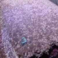فروش و نصب موکت