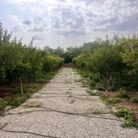 باغچه۲۰۰متری سند تکبرگ با انشعابات جابان دماوند