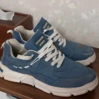 کفش|کیف، کفش، کمربند|کرج, برغان|دیوار