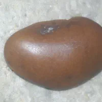 سنگ راف یاقوت|جواهرات|تبریز, |دیوار