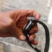 ساعت مچی پریستون اسکات قدیمی+|ساعت|بروجرد, |دیوار