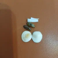 مهره اصل|بدلیجات|اهواز, کوروش|دیوار