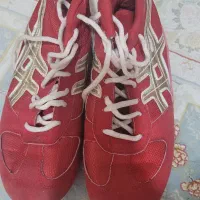 کفش کشتی