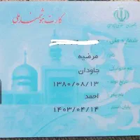 کارت ملی گمشده((رودان))