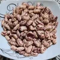 لوبیا چیتی کپسولی