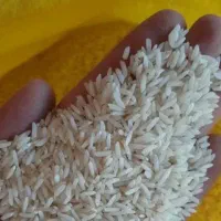 برنج ایرانی(شمال)|خوردنی و آشامیدنی|تبریز, |دیوار