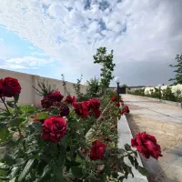 باغ ویلا/ شاهنامه تا شاندیز/ خرید،فروش/ معاوضه