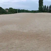 فروش کاه نخود|لوازم جانبی حیوانات|قیدار, |دیوار