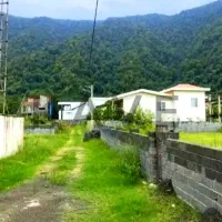 زمین پلاک یکجنگل+نور