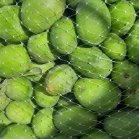 انبه برای ترشی بالاتراز ۲۰کیلو ۱۷۰تومان درمنزل