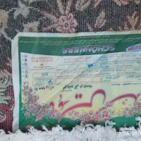 دو عدد فرش ۹متری