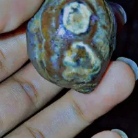 باباقوریه سلطانی
