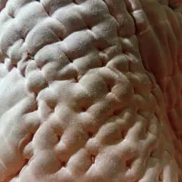 احتیاج به راهنمایی برای یک نفر در مورد ازدواج