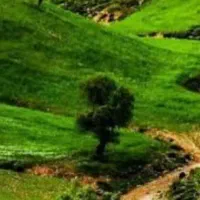 زمین-مسکونی-اپونه