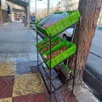 استند میوه|فروشگاه و مغازه|دورود, |دیوار