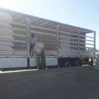 کاه.بارجدیدتخلیه شد.سالاری|خدمات باغبانی و درختکاری|زابل, |دیوار