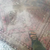 قالیچه دست باف قدیمی|فرش|اصفهان, جاوان|دیوار