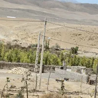 خانم برای کمک در کارها