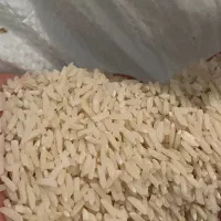 برنج طارم هاشمی ارگانیک