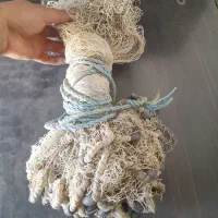 تور ماهیگیری