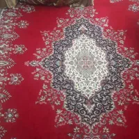فرش ۱۲ متری قالی سلیمان|فرش|تنکابن, |دیوار