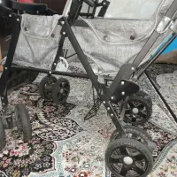 کالسکه دو قلو