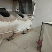 شاطر نانوایی