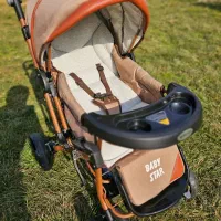 کالسکه دلیجان بدنه مسی