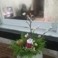 گل یلدایی|گل مصنوعی|فومن, |دیوار