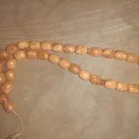 کهرب لهستانی اصلی