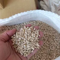 لوبیا پلو ریز نو و درجه یک