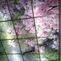 اسمان مجازی تایل اسمان چاپی تایل سقفی چاپ مستقیم|مصالح و تجهیزات ساختمان|تهران, بلورسازی|دیوار