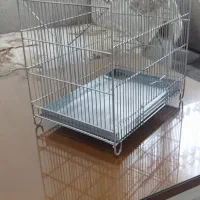 قفس سهره قناری|لوازم جانبی حیوانات|رباط‌کریم, شترخوار|دیوار